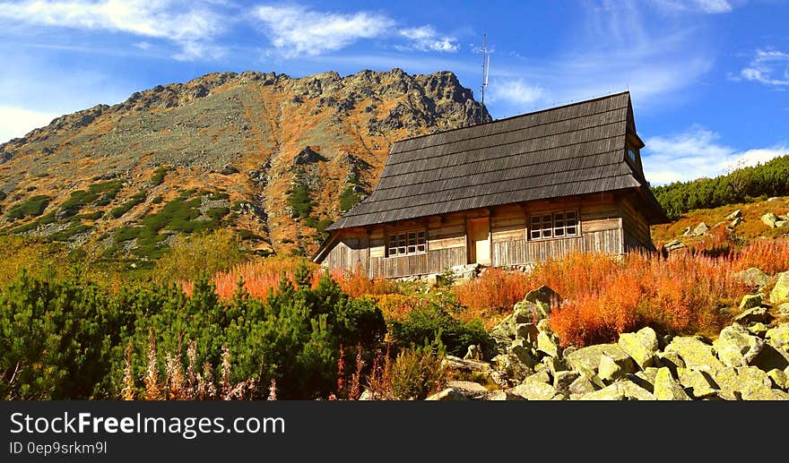 House on Rock Cliff