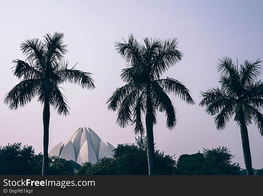 White Baha'i temple in palm trees against purple skies at sunset. White Baha'i temple in palm trees against purple skies at sunset.