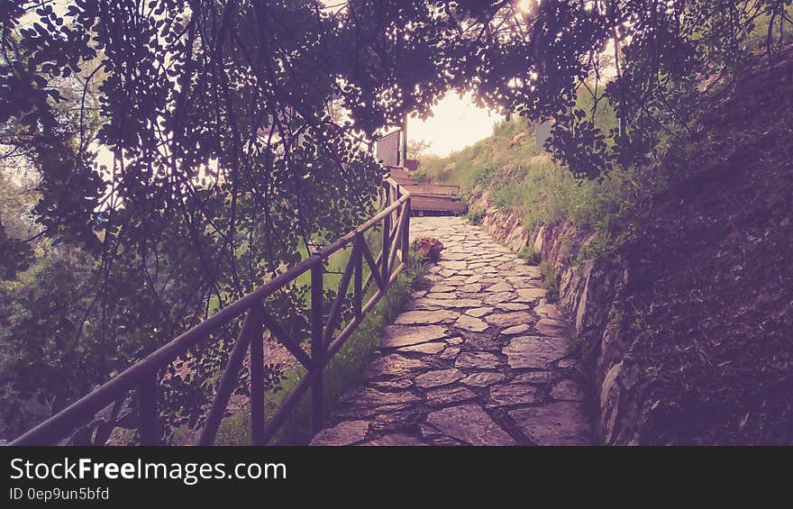 Passage Way