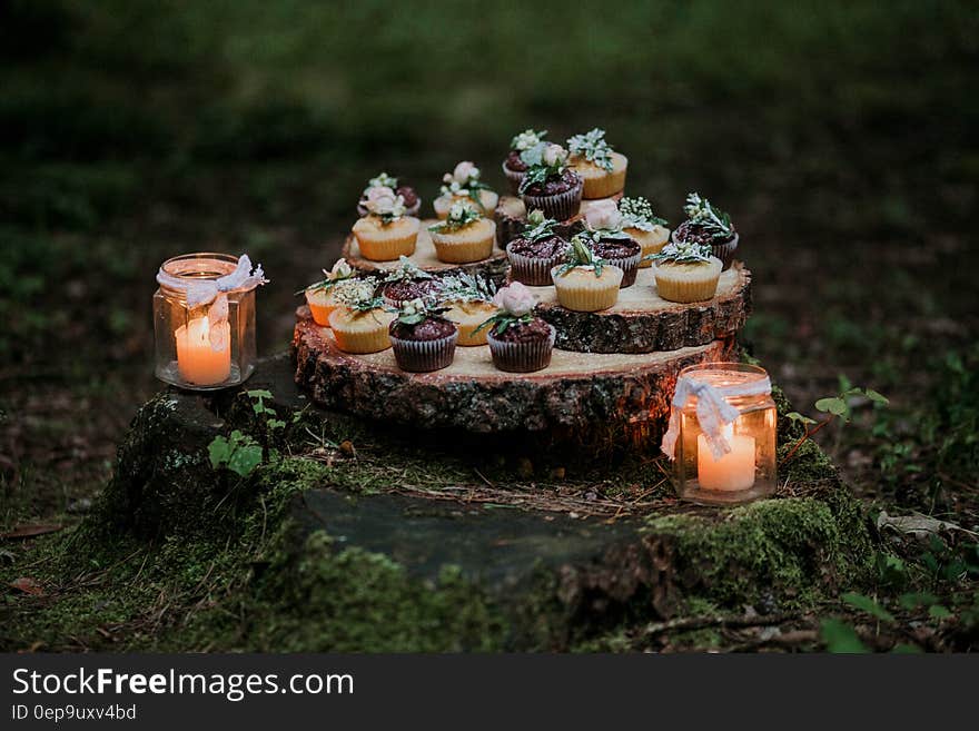 Cupcakes and Candles on Stump Surrounded by Moss