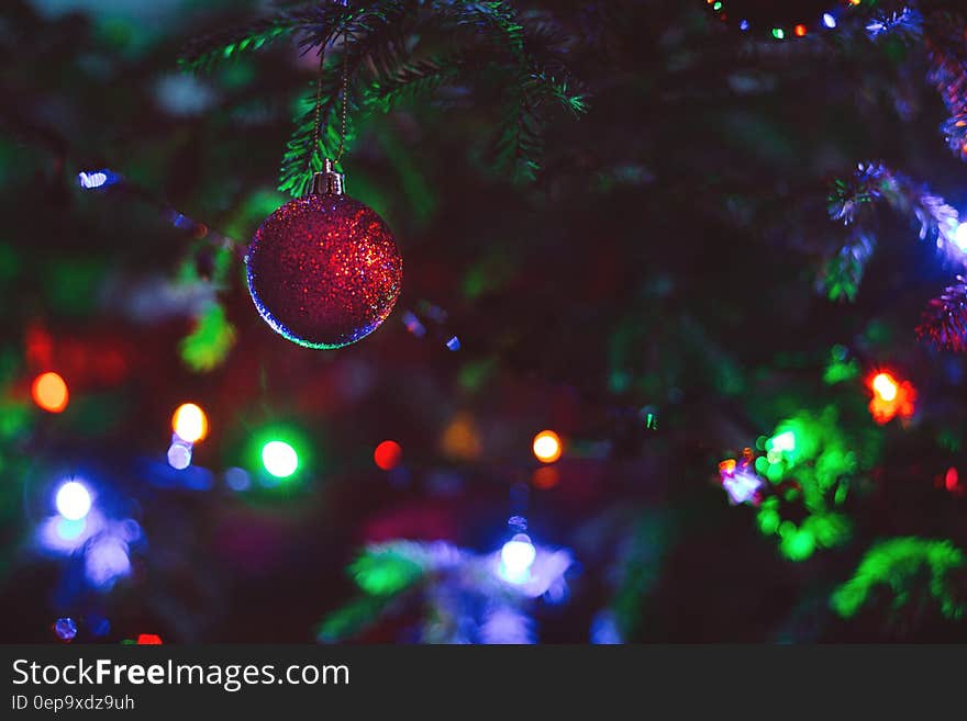 Close-up of Christmas Decoration Hanging on Tree