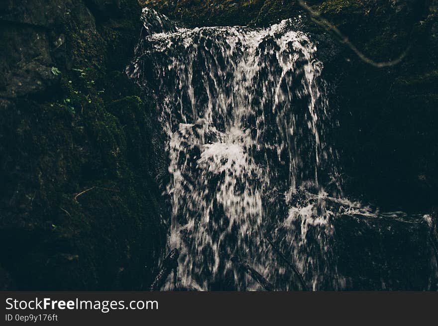 Water splashing in forest creek.