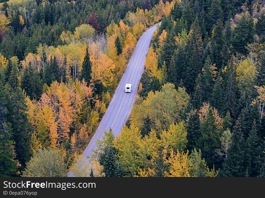 White Car Traveling Near Trees during Daytime