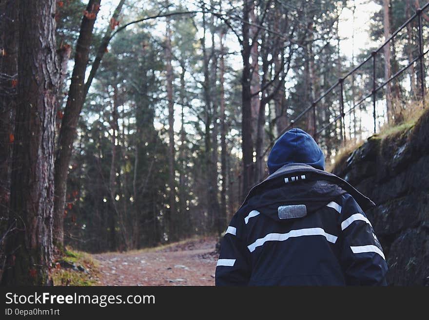 Back View of Man in Forest