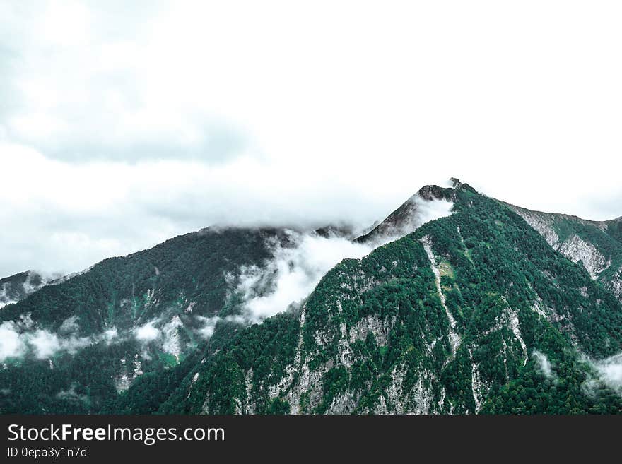 Log clouds or fog over alpine forest on snowy mountain peak. Log clouds or fog over alpine forest on snowy mountain peak.