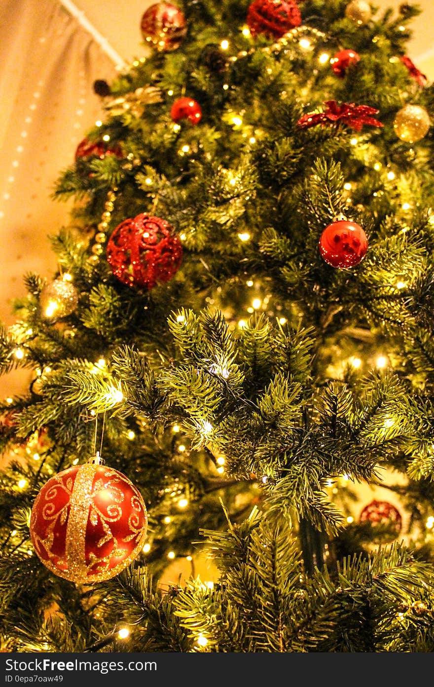 A Christmas tree decorated with shiny red and gold balls. A Christmas tree decorated with shiny red and gold balls.