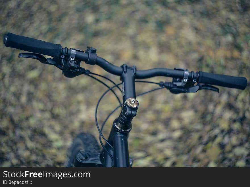 Close-up of Bicycle Wheel