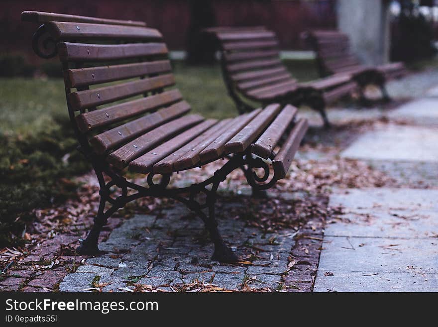 Empty benches outdoors on leaf covered sidewalk in daytime.