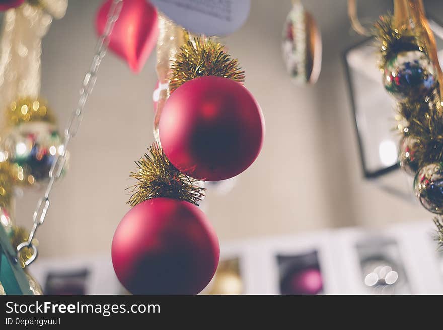 Close-up of Christmas Tree