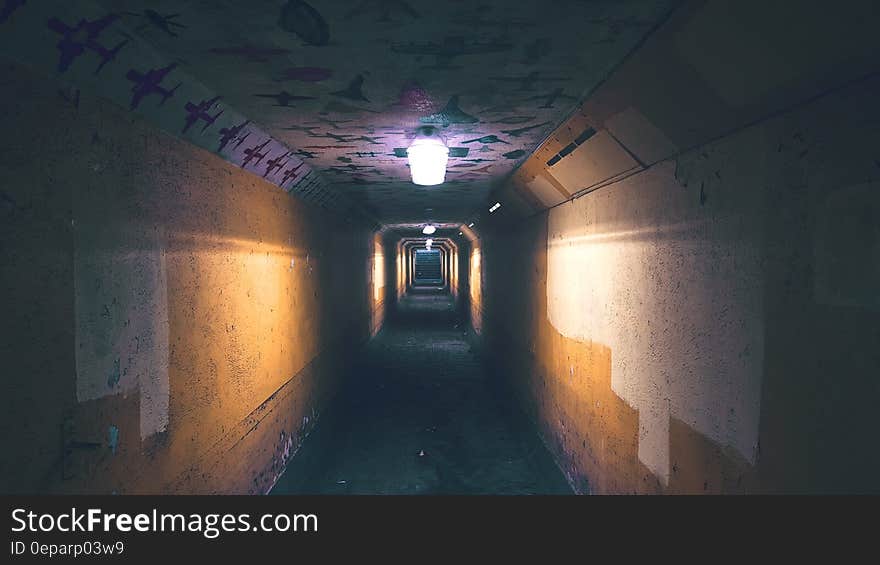 Light on ceiling inside hallway of old building. Light on ceiling inside hallway of old building.