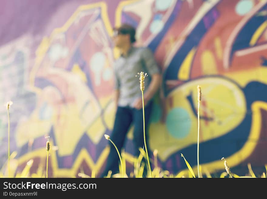 Background of grunge faded graffiti blur painted in mainly red, yellow and blue colors. A few focused weedy plants are seen in front of the wall. Background of grunge faded graffiti blur painted in mainly red, yellow and blue colors. A few focused weedy plants are seen in front of the wall.