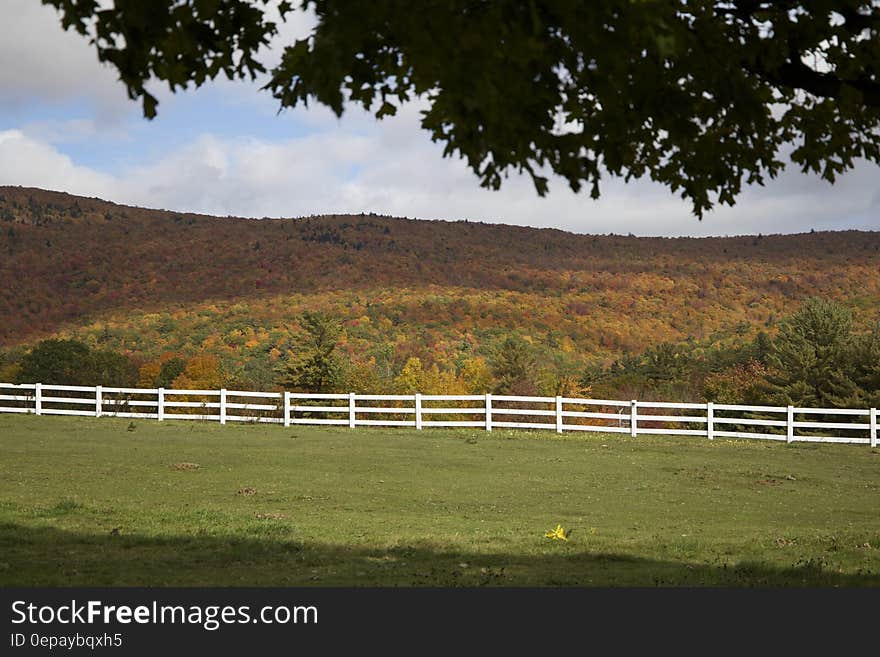 White Wooden Outdoor Safety Fence With Brown and Green Grass Field