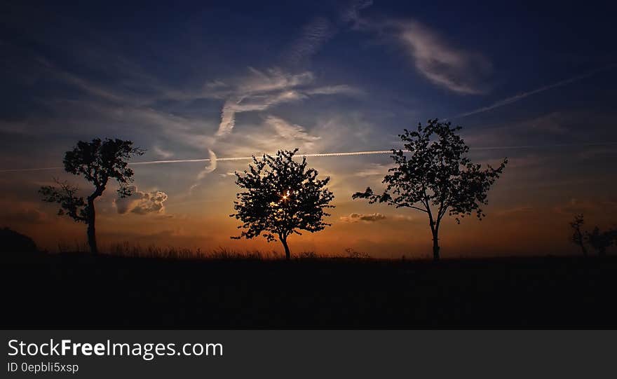 Silhouette Photo