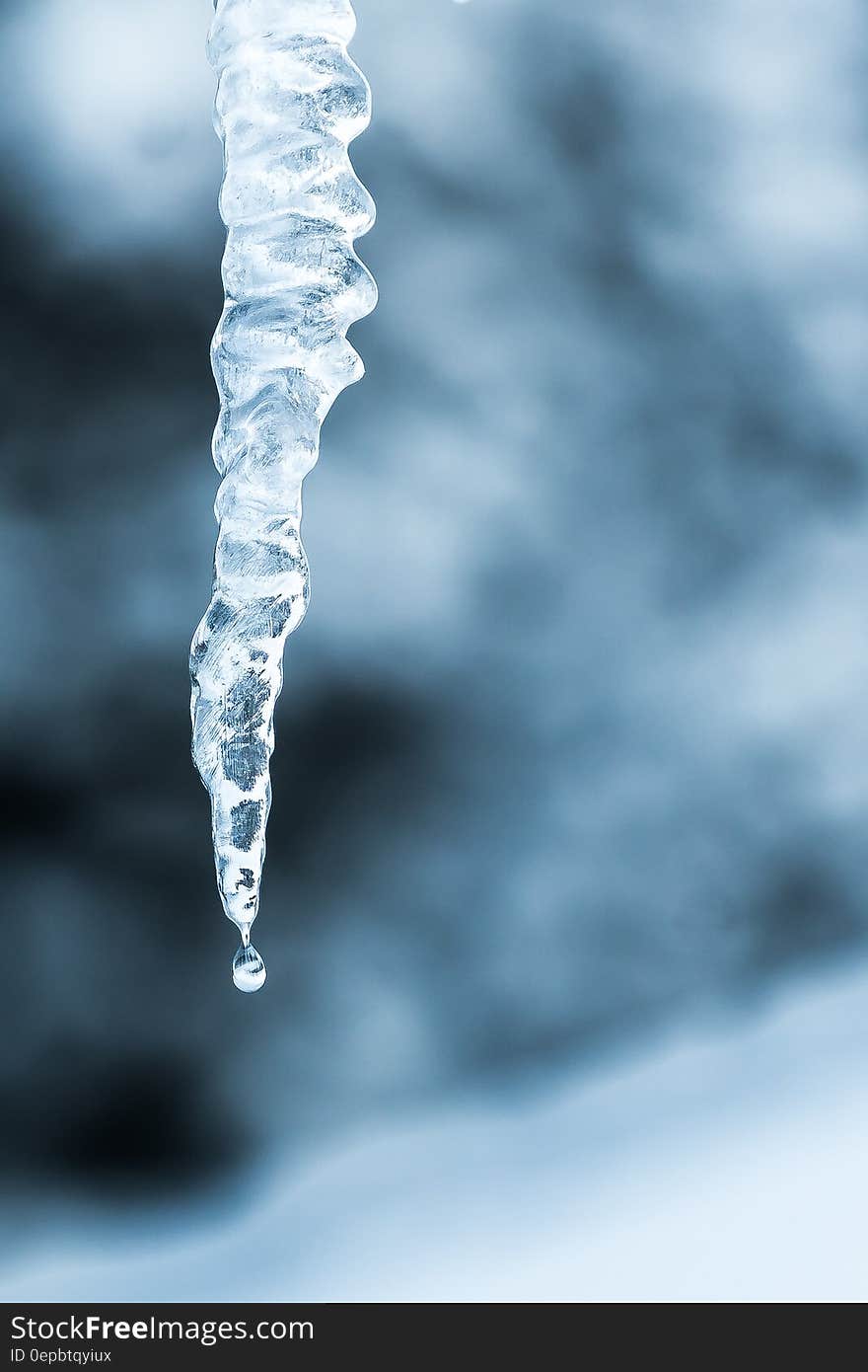 Water dripping off close up of icicle. Water dripping off close up of icicle.