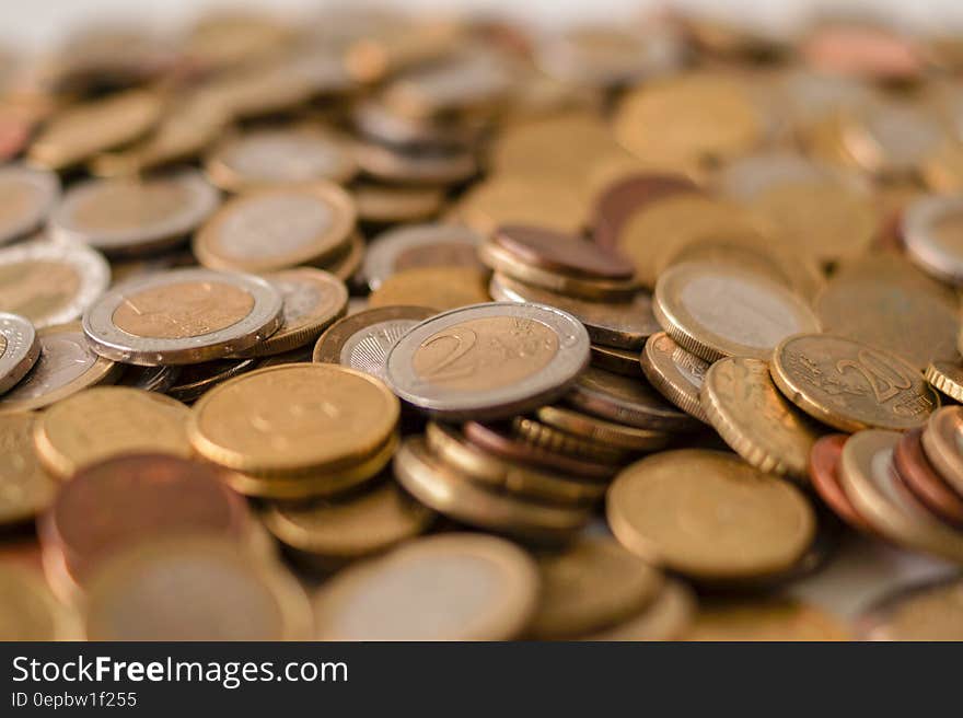 Silver and Bronze Coins