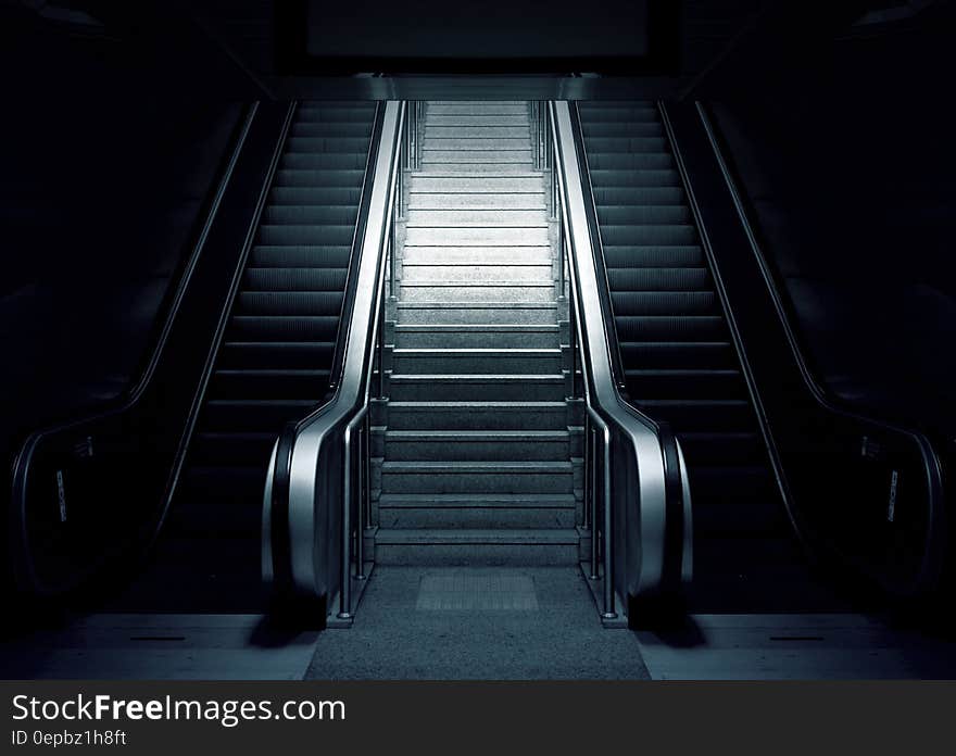 A pair of escalators with a staircase between them. A pair of escalators with a staircase between them.