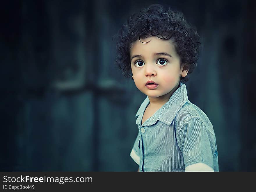 Outdoor portrait of young boy with black curly hair on sunny day.