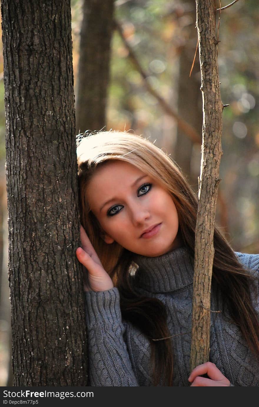 Woman in Grey Sweater Lying on Tree during Daytime