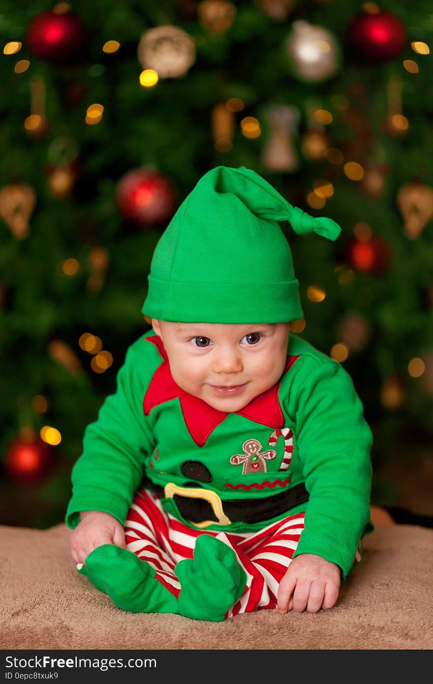 A young boy in Santa's elf costume with Christmas tree in background. A young boy in Santa's elf costume with Christmas tree in background.