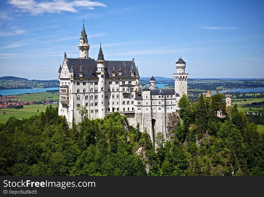 White and Gray Castle on Forest