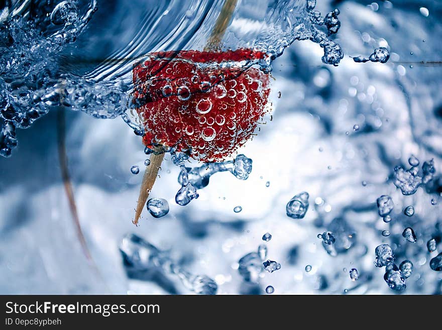 A raspberry in a glass of bubbly water. A raspberry in a glass of bubbly water.