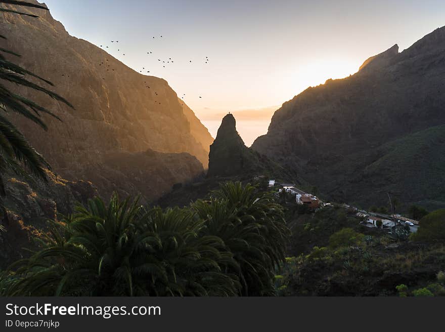 Mountainous tropical landscape at sunset looking along valley with village in distance and flock of birds in flight.