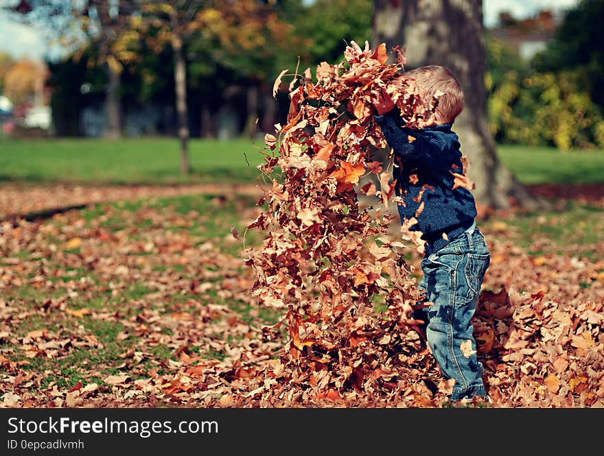 Boy Playing With Fall Leaves Outdoors