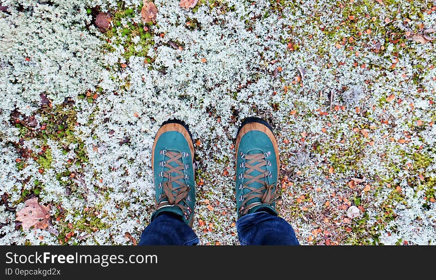 Man Wearing Teal and Brown Lace Up Sneakers