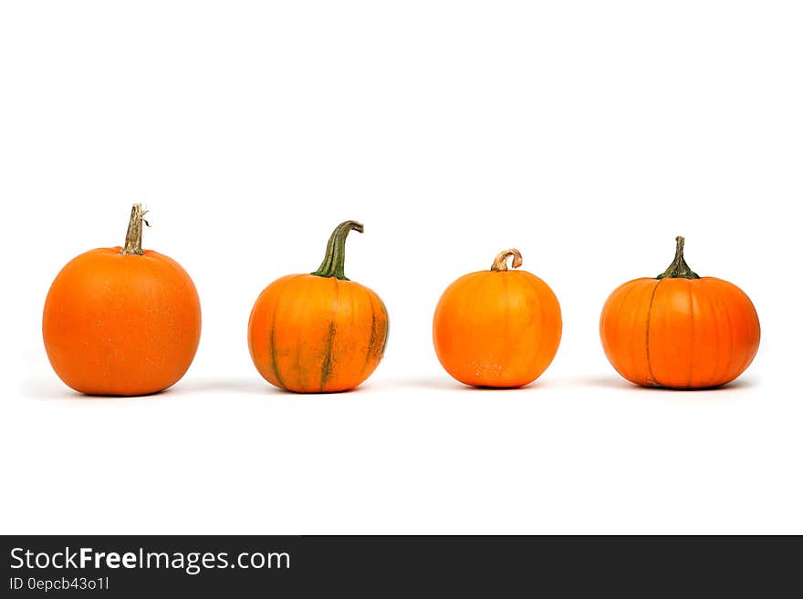 Miniature pumpkins isolated on white.