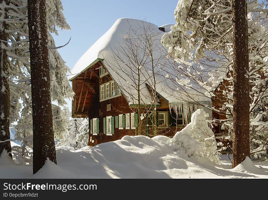 Scenic view of snow covered chalet lodge in woodland with trees in foreground, winter scene. Scenic view of snow covered chalet lodge in woodland with trees in foreground, winter scene.