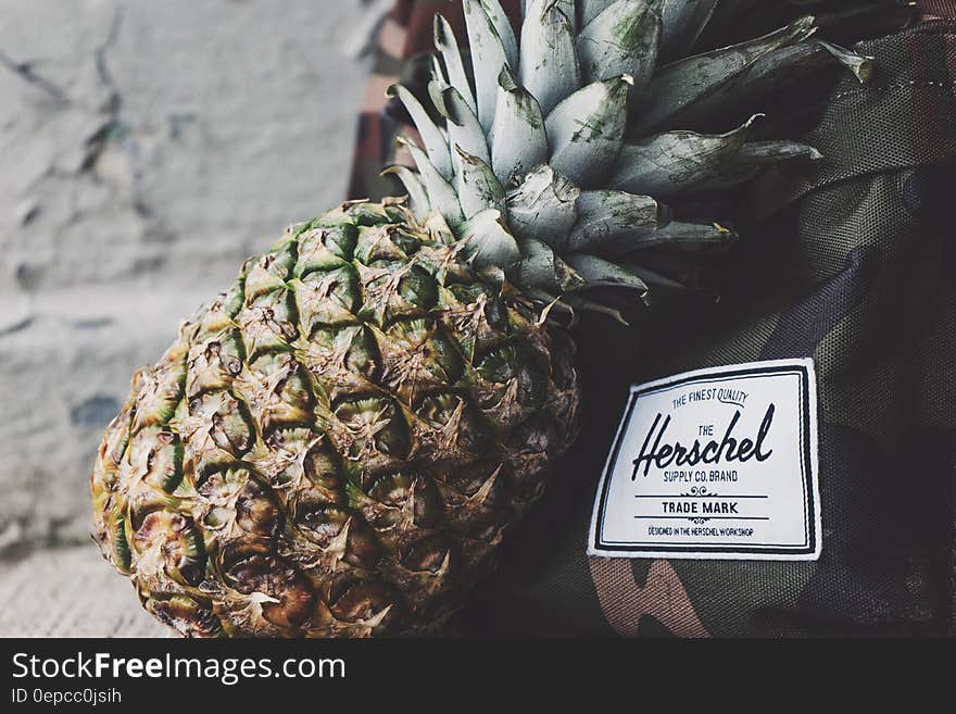 Closeup of a tropical pineapple resting on a backpack, tropical travel concept.