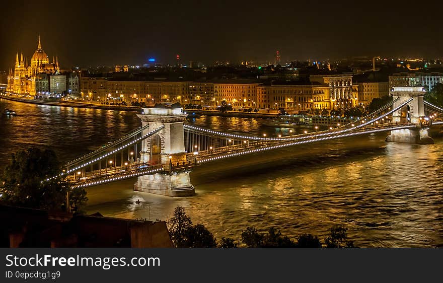 Lighted Bridge during Night Time