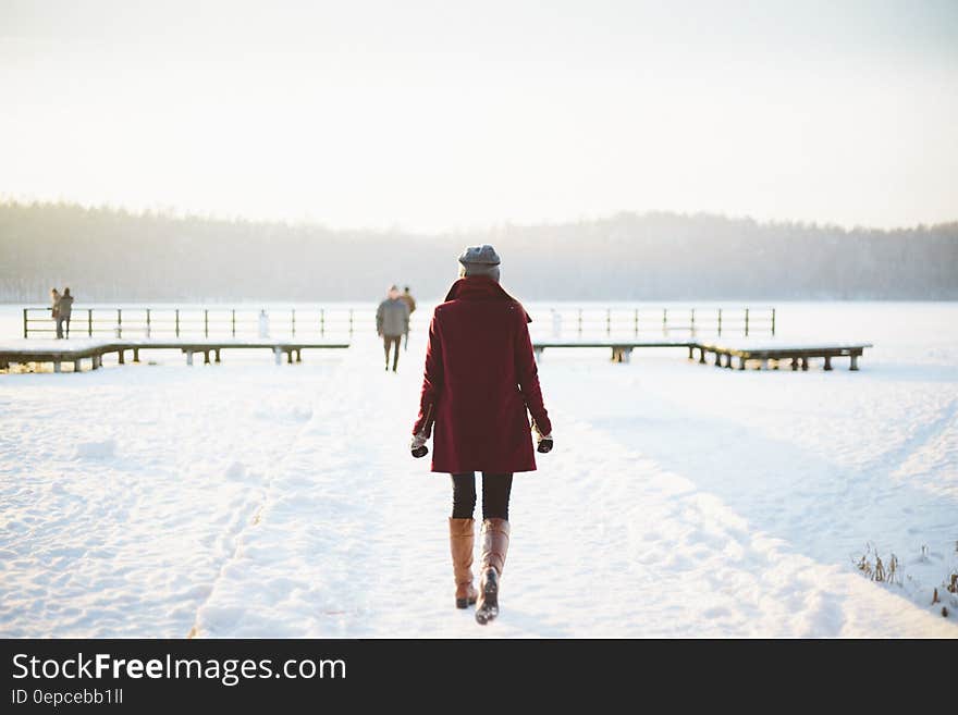 Rear view of woman walking in snowy landscape with people, frozen lake and pier in background, winter scene.