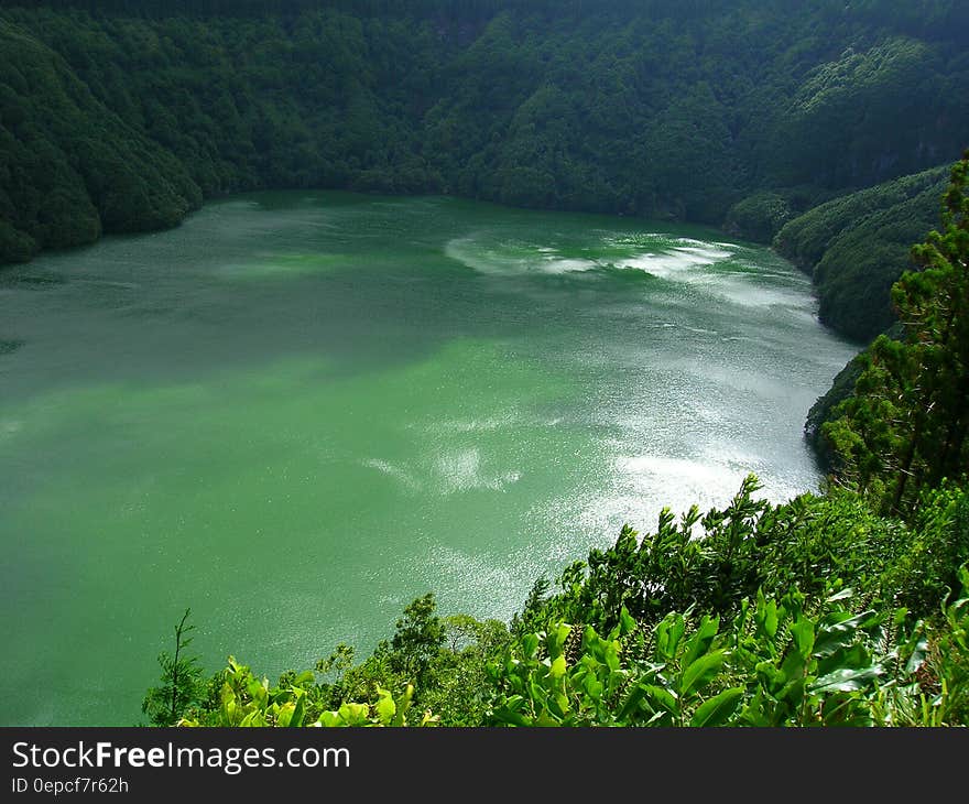 A mountain lake surrounded by thick forest.