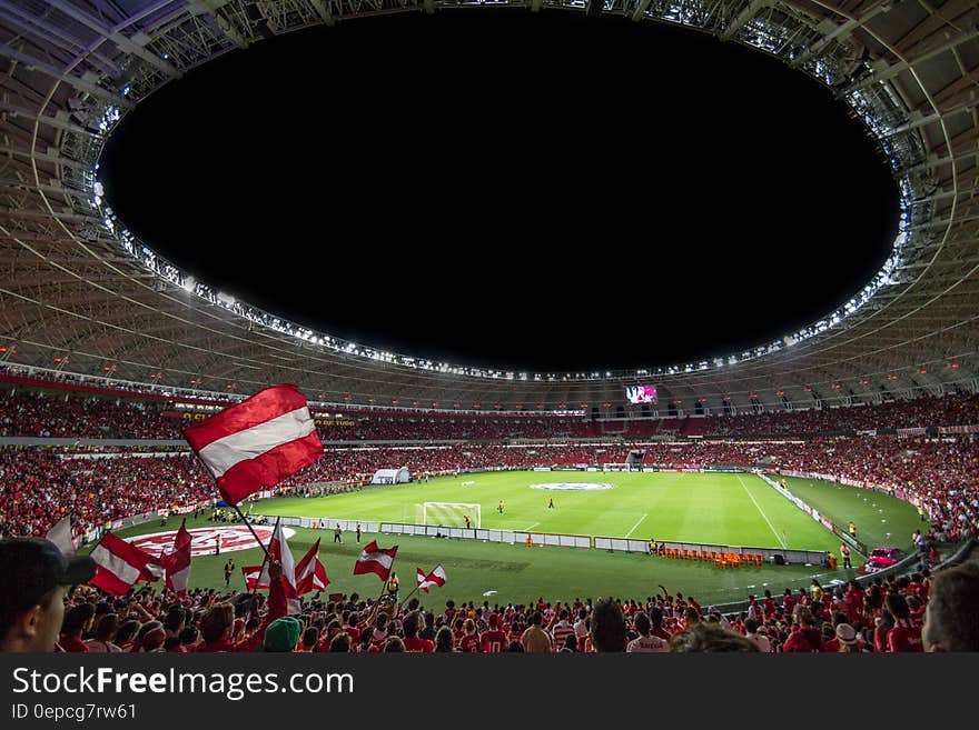 Crowded arena during Brazil championship soccer match.