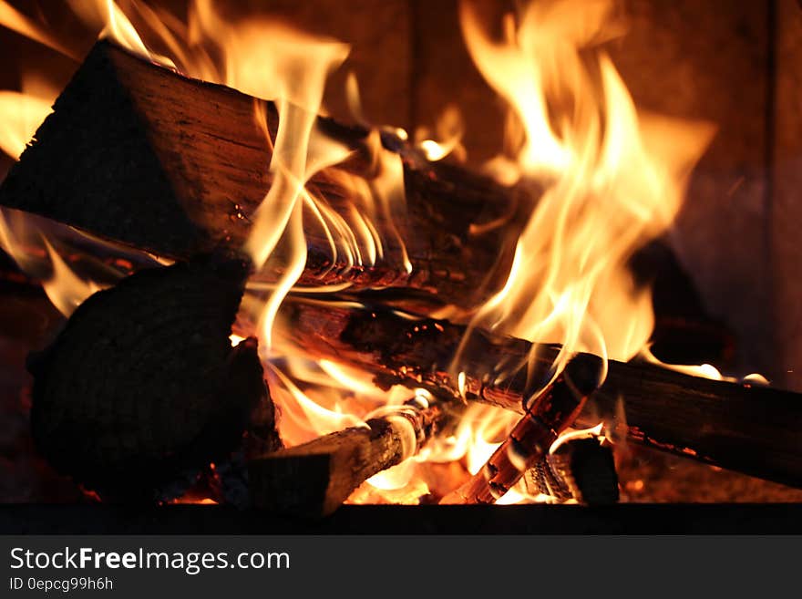 Close up of logs burning in campfire. Close up of logs burning in campfire.