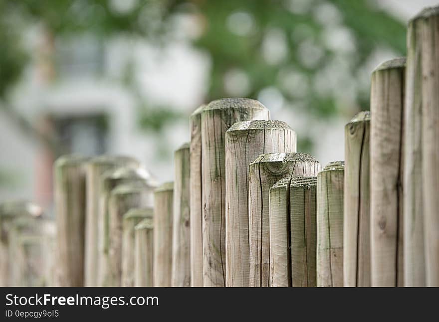 Brown Wooden Fence in Front