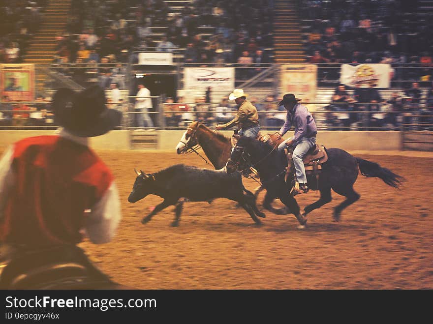 2 Men Riding on Horse