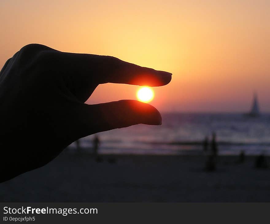 Force Perspective Photo of Person Holding Sun