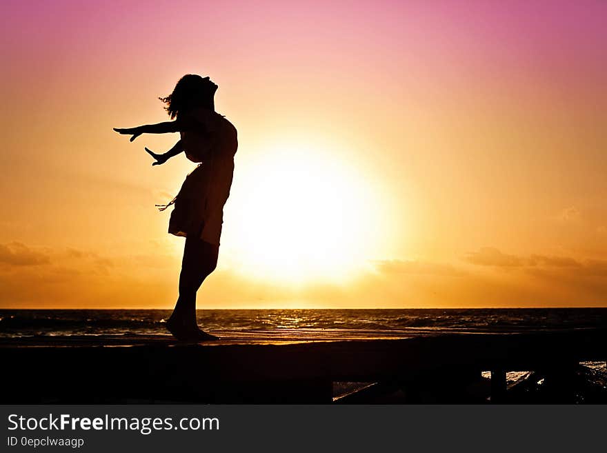 Lady in Beach Silhouette during Daytime Photography