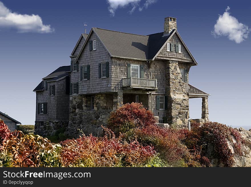 Photography of Grey Concrete House Around the Red Green Leaves Plant Under the Blue Sky