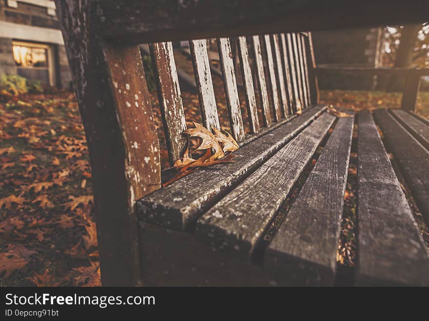 Close up of empty wooden bench on sunny fall day. Close up of empty wooden bench on sunny fall day.