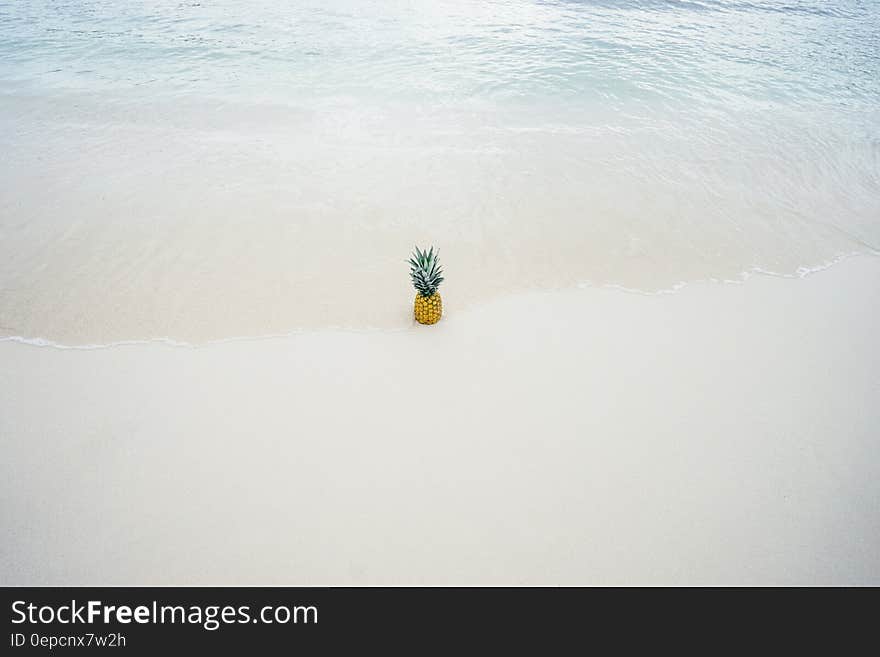 Pineapple in the Middle of the Seashore