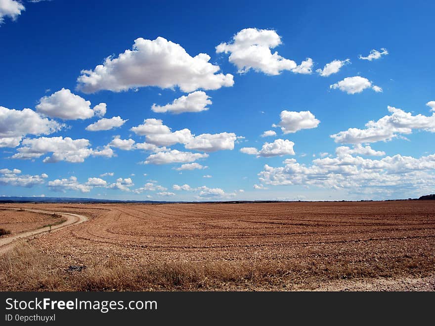 Brown Field and Blue Sky