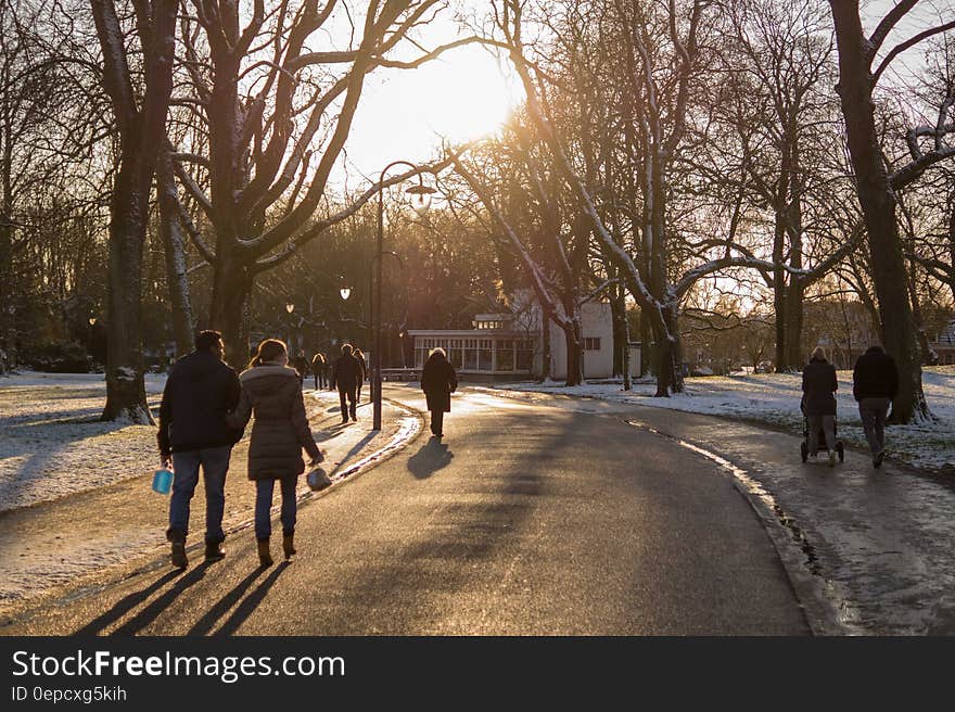 People walking on sidewalk lined with bare trees on winter day. People walking on sidewalk lined with bare trees on winter day.