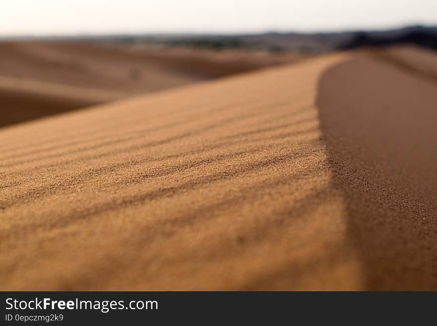 Close up of patterns and textures of sand in sunny desert. Close up of patterns and textures of sand in sunny desert.