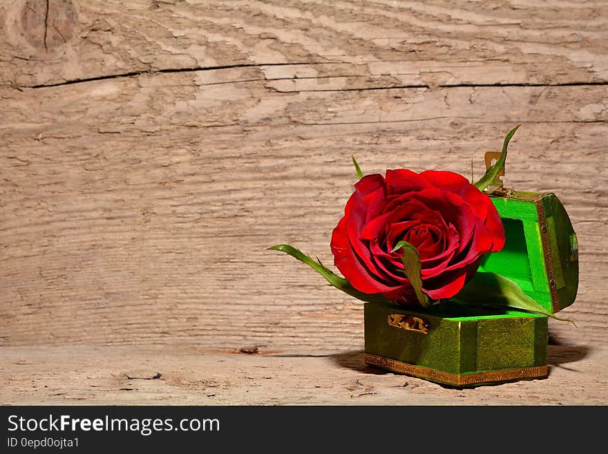 Red and Green Rose Inside Green and Brown Chest Box