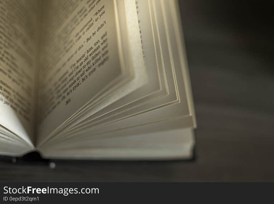 Close up of pages in open novel. Close up of pages in open novel.