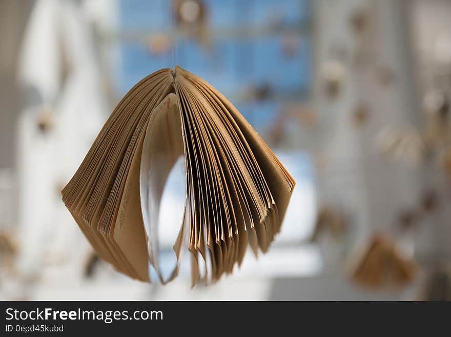 Close up of open book in sunny room by window.