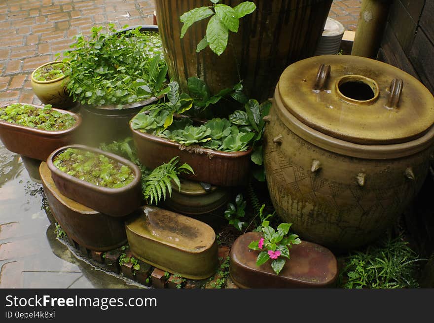 A garden with potted plants and ceramic pots. A garden with potted plants and ceramic pots.